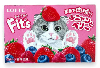 Резинка жевательная FIT`S Funny&Berry ягодная, Lotte, 24.6 г